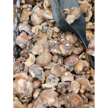 Frozen Mushrum (50)-390334-34326.webp